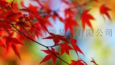 二十四節(jié)氣—秋分